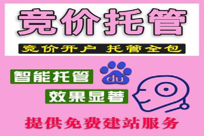 百度运营推广助力电商，揭秘热门案例